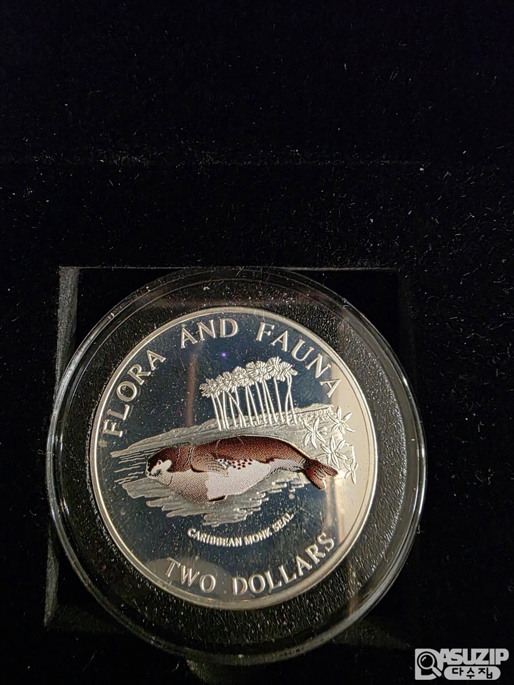 1995년 바하마에서 발행된 Flora and Fauna' 시리즈 '카리브해 몽크 바다표범' 기념 1온스(oz)은화